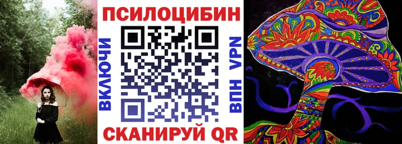 где можно купить   Крым  Галлюциногенные грибы Psilocybine cubensis 